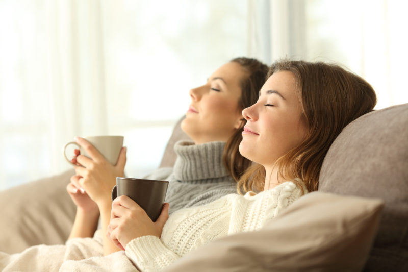How an Air Purifier Helps You Stay Healthy